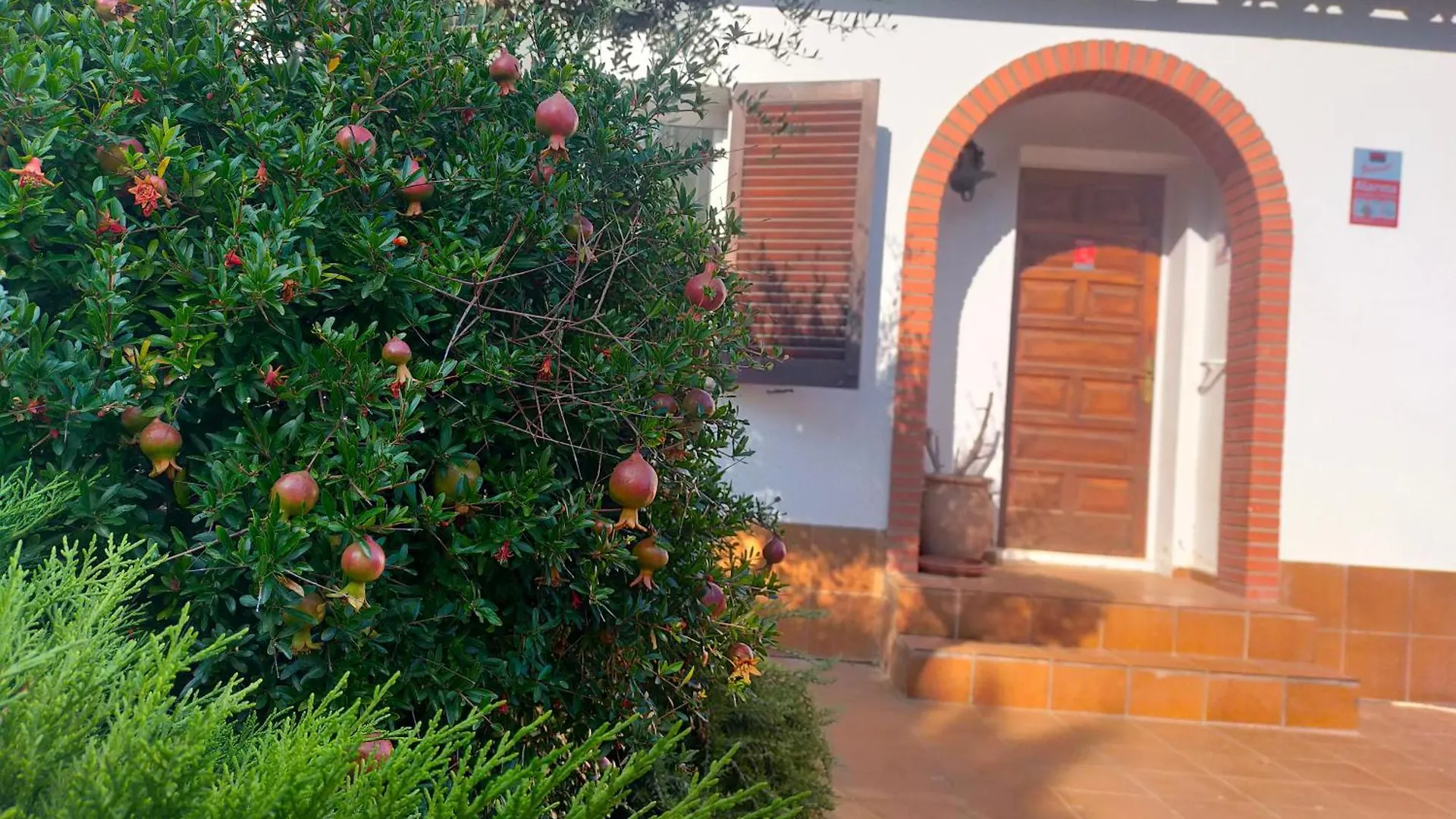 Villa Casita Con Jardin, Parking, Bicis, Padel Surf Ampurias Spanien